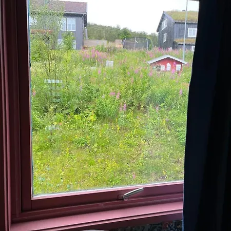 House In Holiday home Roros